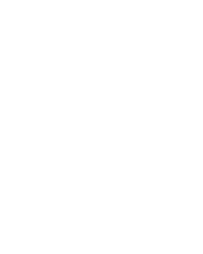 SPF 2020 30 years logo